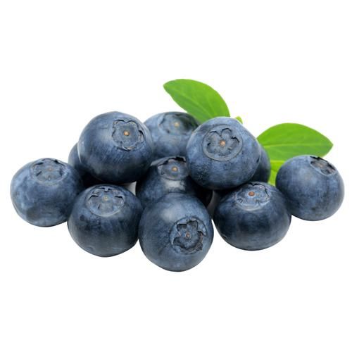 BLUEBERRY.jpg