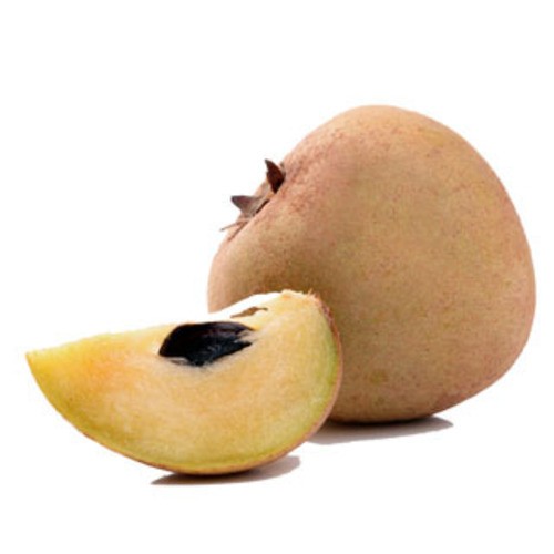 Cheeku.jpg