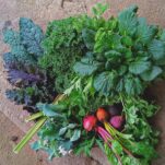 harvest box