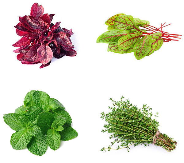 herbs combo